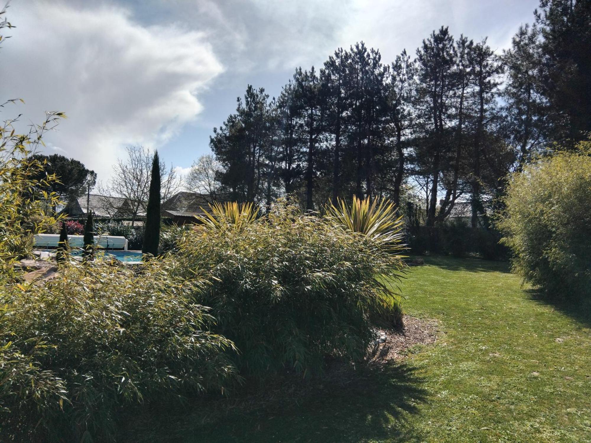 Chambre Dans Un Ecrin De Verdure Angrie Zewnętrze zdjęcie