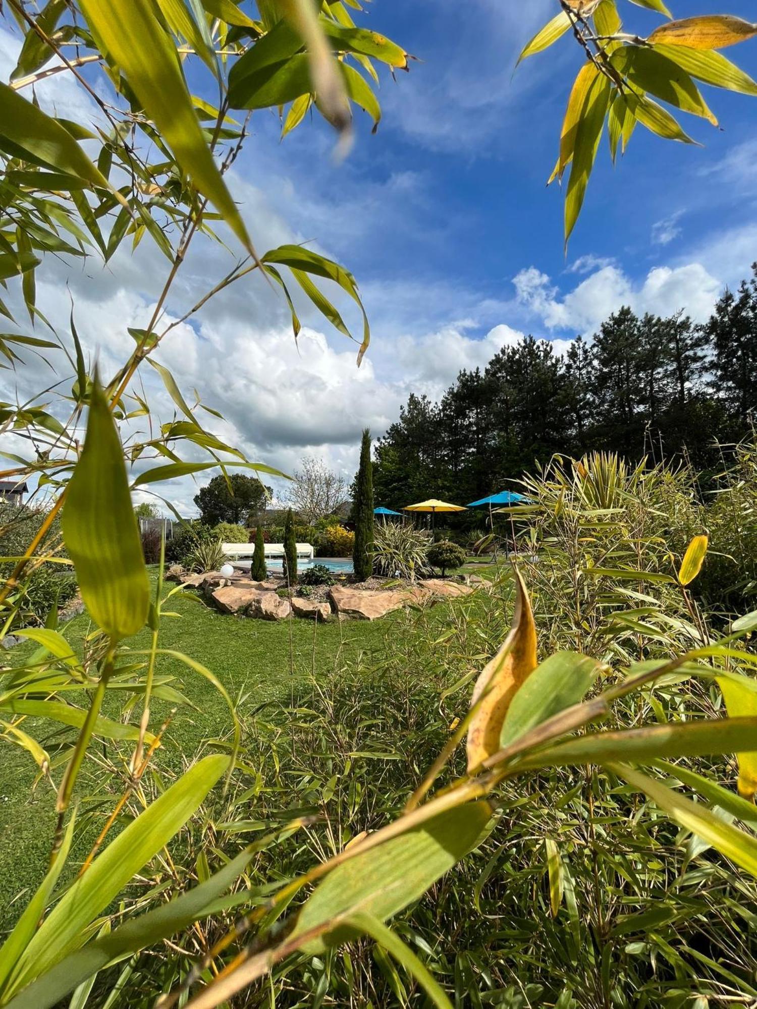 Chambre Dans Un Ecrin De Verdure Angrie Zewnętrze zdjęcie