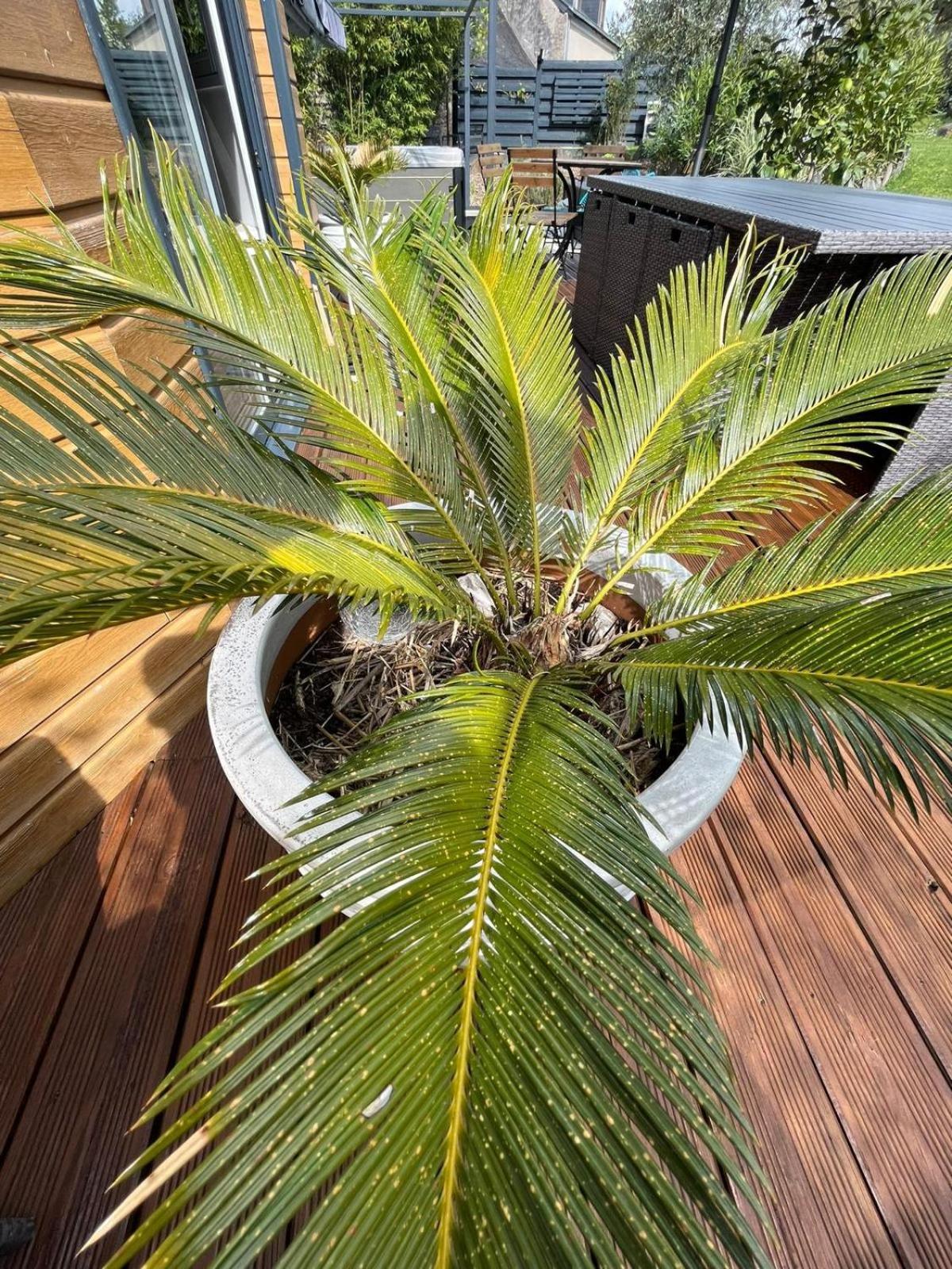 Chambre Dans Un Ecrin De Verdure Angrie Zewnętrze zdjęcie